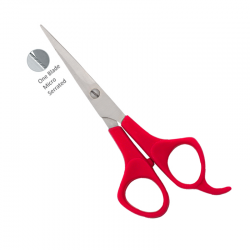 Economy Hair Scissors
