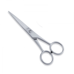 Economy Hair Scissors