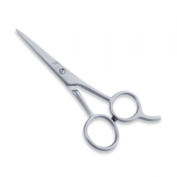 Economy Hair Scissors